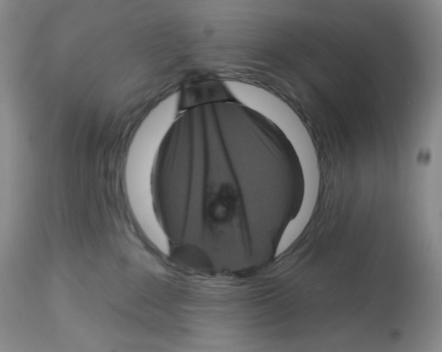 X0000112720235200910011140