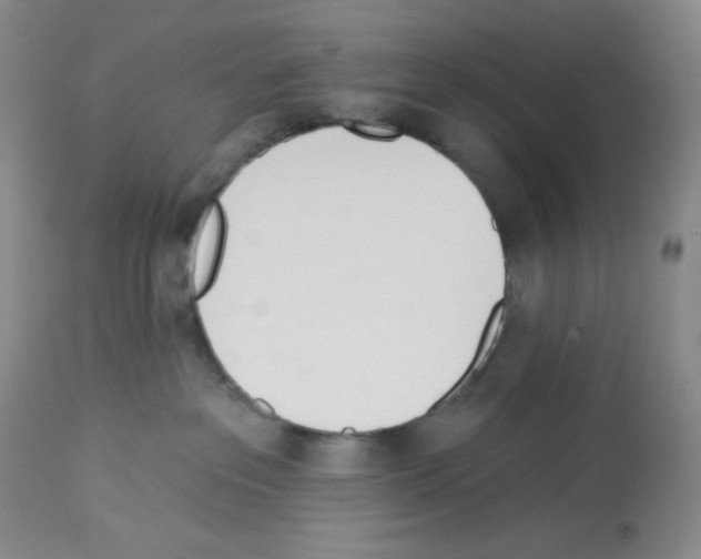 X0000112720237200910011140