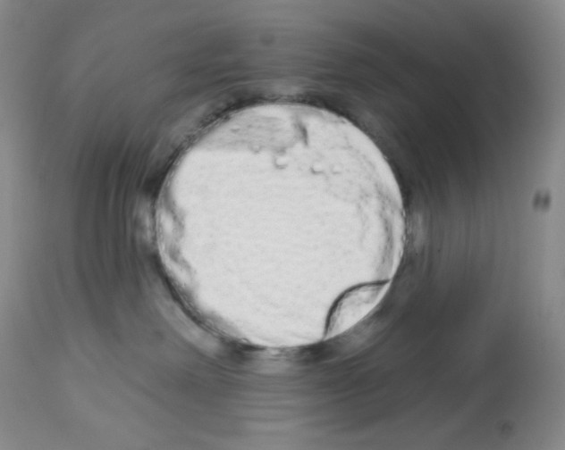 X0000112720238200910011140