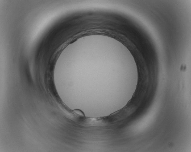 X0000112720239200910011140