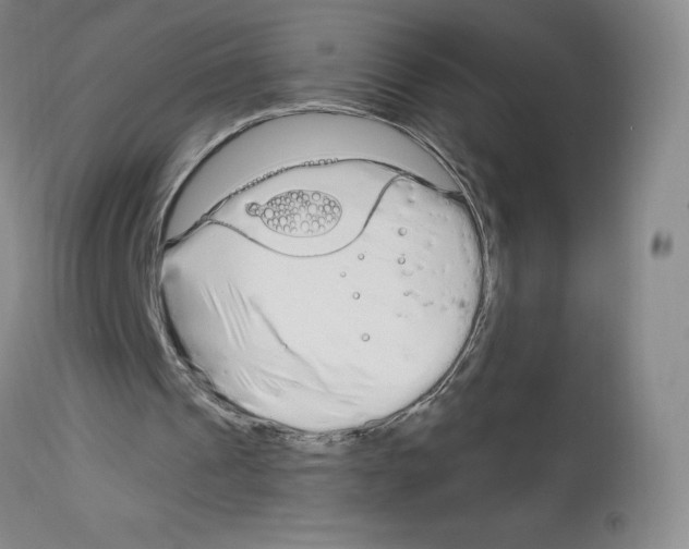 X0000112720241200910011139