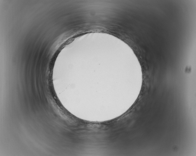 X0000112720242200910011139