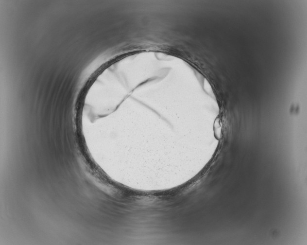 X0000112720246200910011139