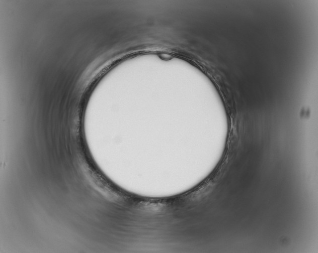 X0000112720247200910011139