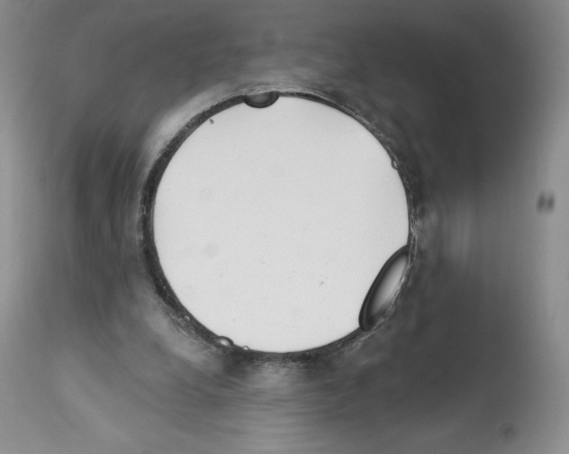 X0000112720248200910011139