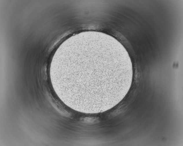 X0000112720251200910011139