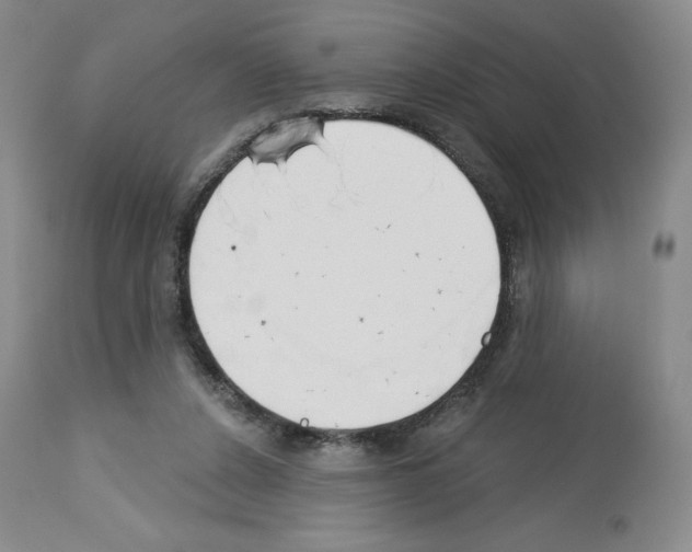 X0000112720256200910011139