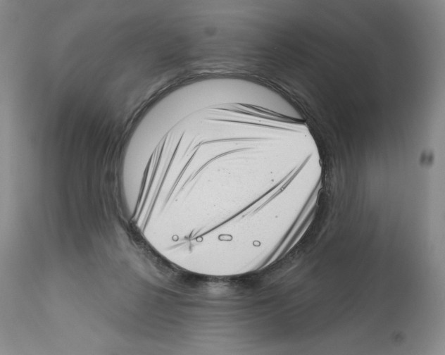 X0000112720264200910011139