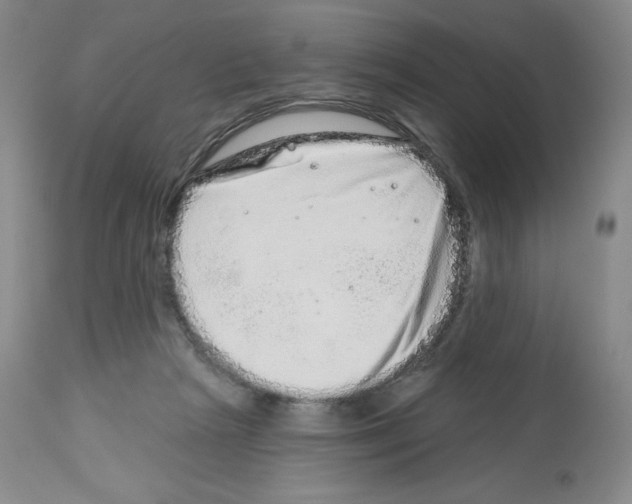 X0000112720265200910011139