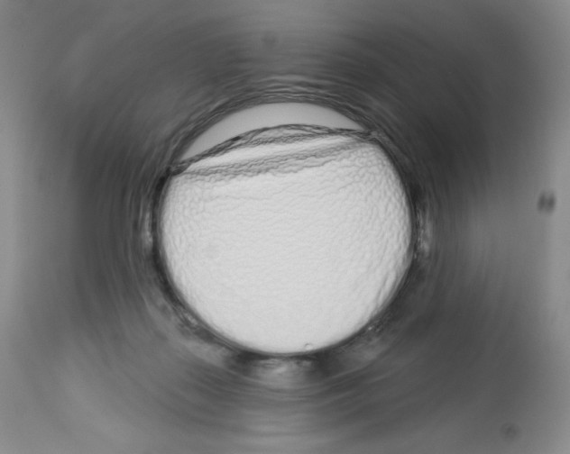 X0000112720267200910011139