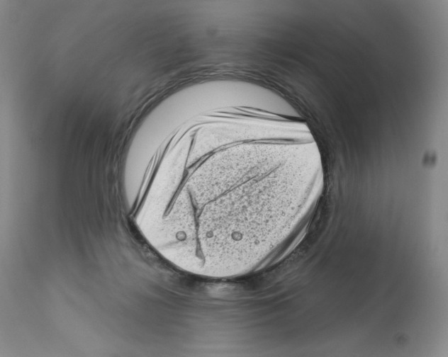 X0000112720268200910011139