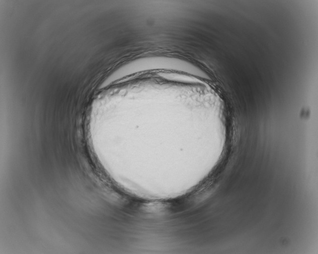 X0000112720269200910011139