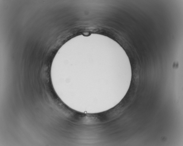 X0000112720270200910011140