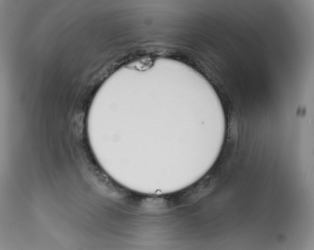 X0000112720271200910011140