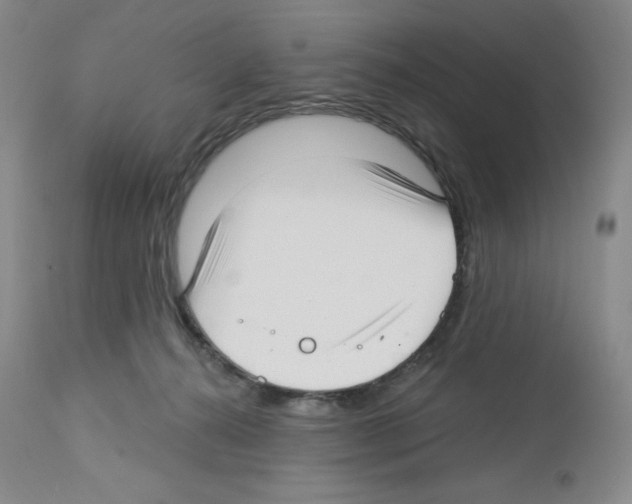 X0000112720272200910011140