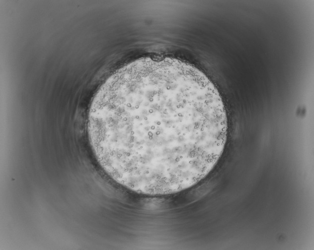 X0000112720273200910011140