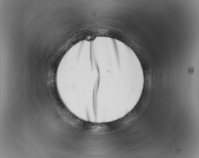 X0000112720274200910011140