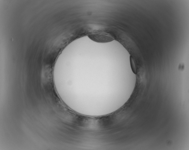 X0000112720276200910011140