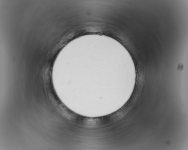 X0000112720277200910011140