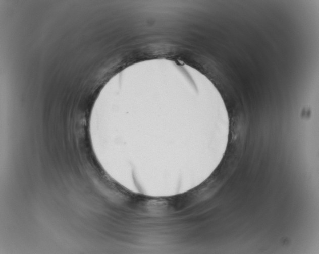 X0000112720279200910011140