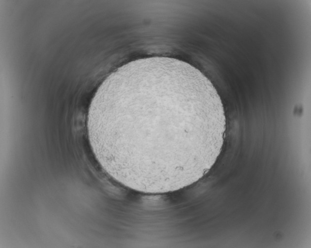 X0000112720281200910011140