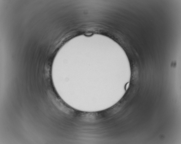 X0000112720282200910011140