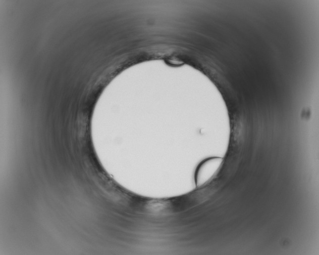 X0000112720283200910011140