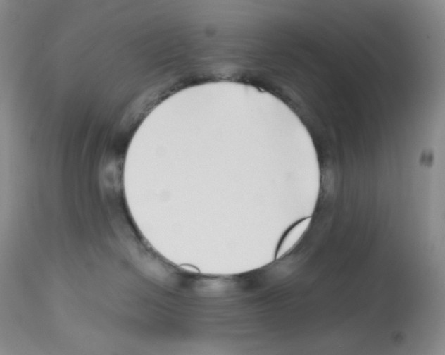 X0000112720286200910011140