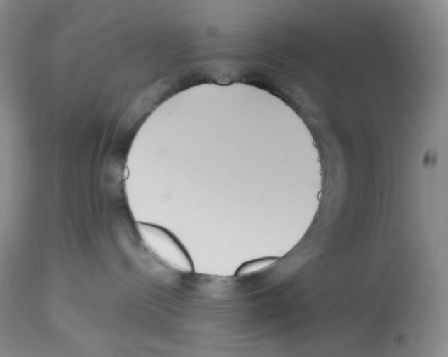 X0000112720288200910011140