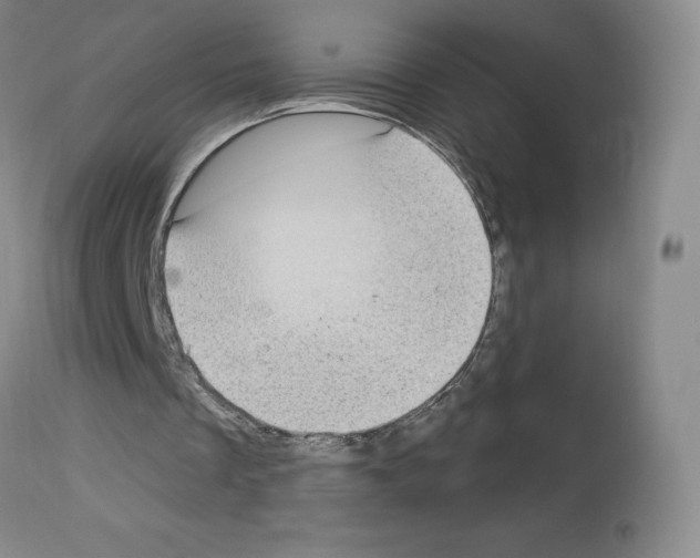 X0000112720289200910011139