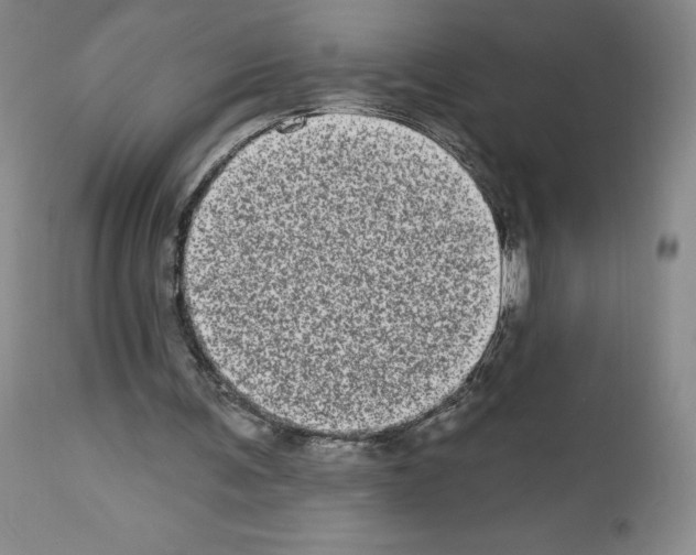 X0000112720291200910011139