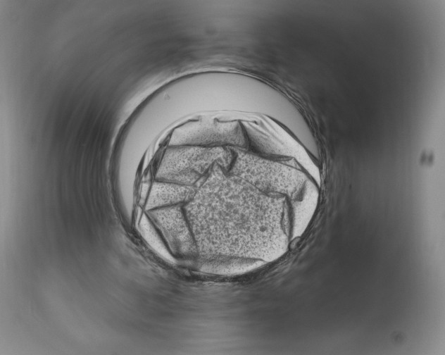 X0000112720292200910011139