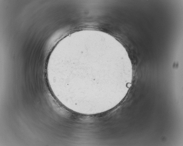 X0000112720293200910011139