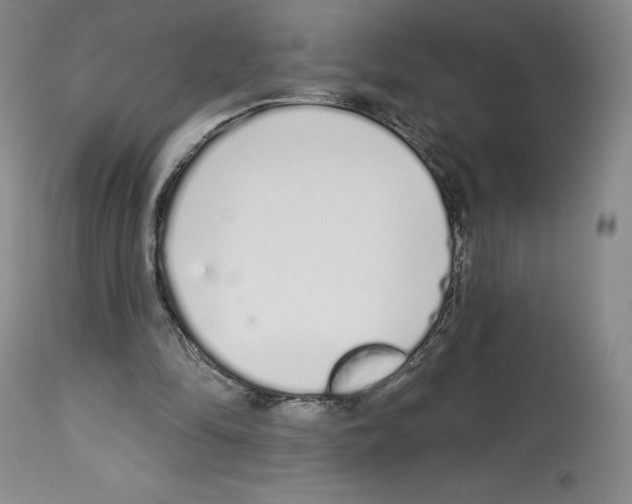 X0000112720294200910011139