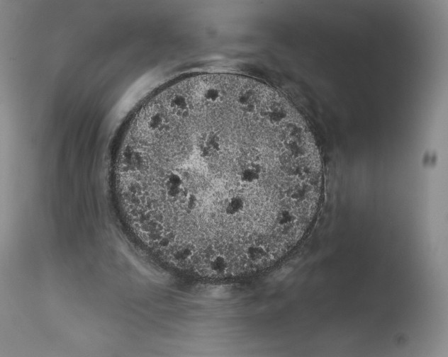 X0000112720295200910011139