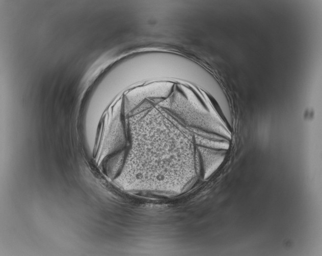 X0000112720296200910011139