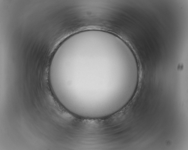 X0000112720297200910011139