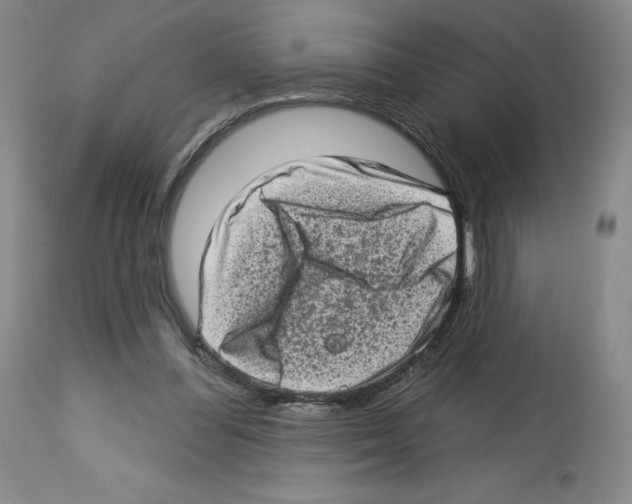 X0000112720300200910011139