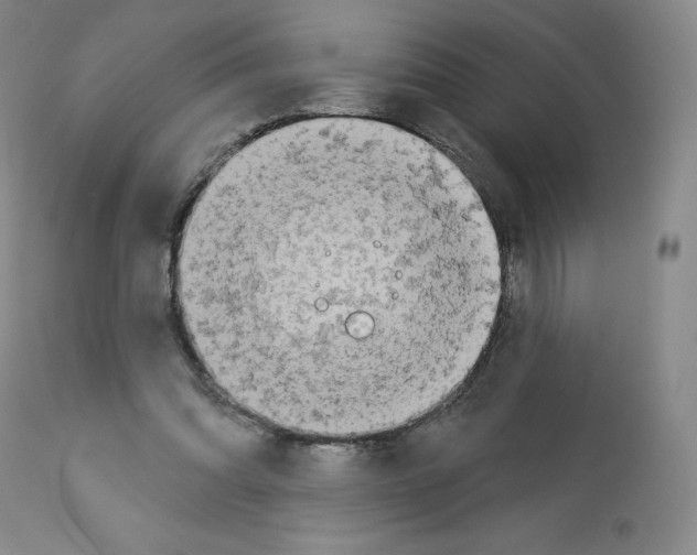 X0000112720302200910011139