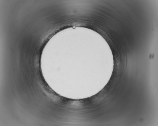 X0000112720303200910011139