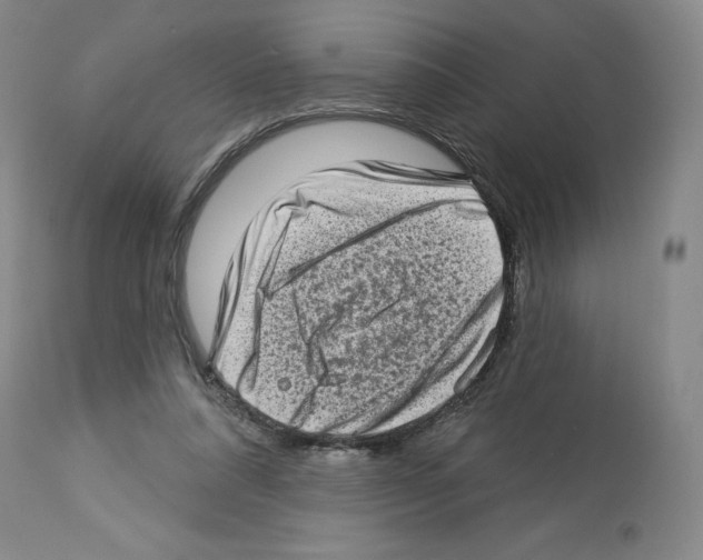 X0000112720304200910011139