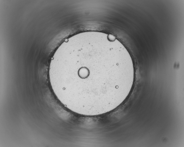 X0000112720305200910011139