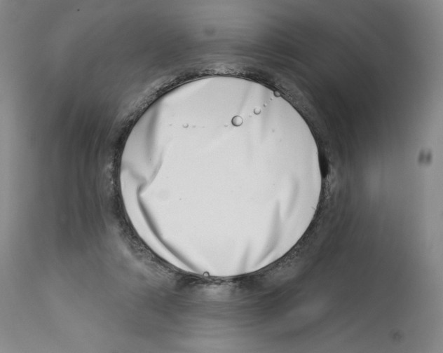 X0000112720306200910011139