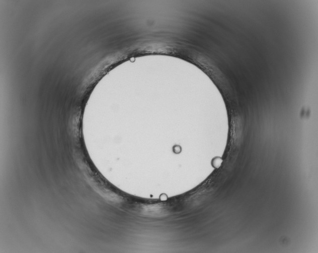 X0000112720309200910011139