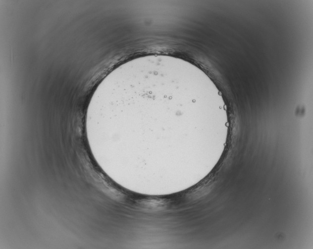 X0000112720313200910011139