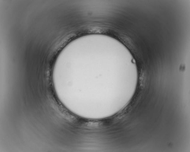 X0000112720314200910011139