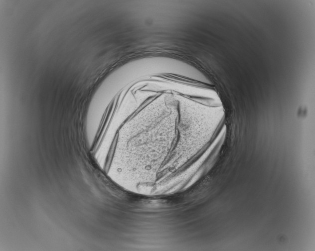 X0000112720316200910011139