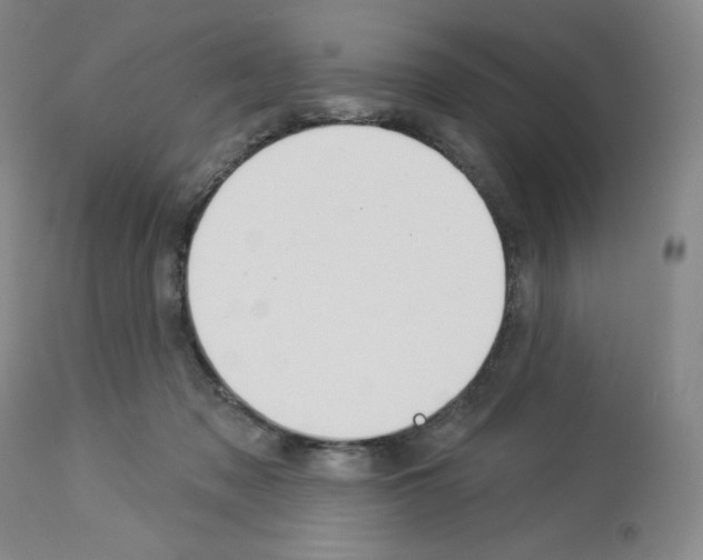 X0000112720317200910011139