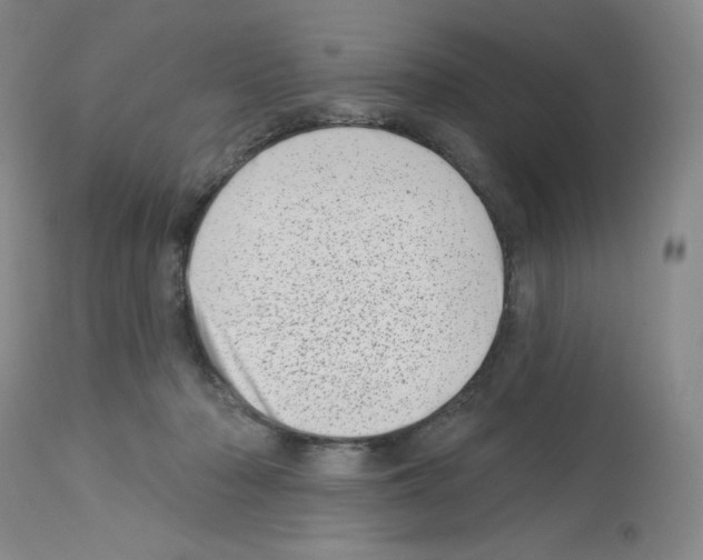 X0000112720318200910011139