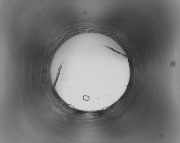 X0000112720320200910011139